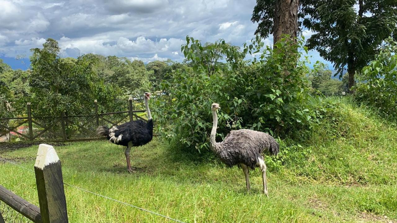 Rancho Ecoturistico El Faro Otel La Mesa  Dış mekan fotoğraf