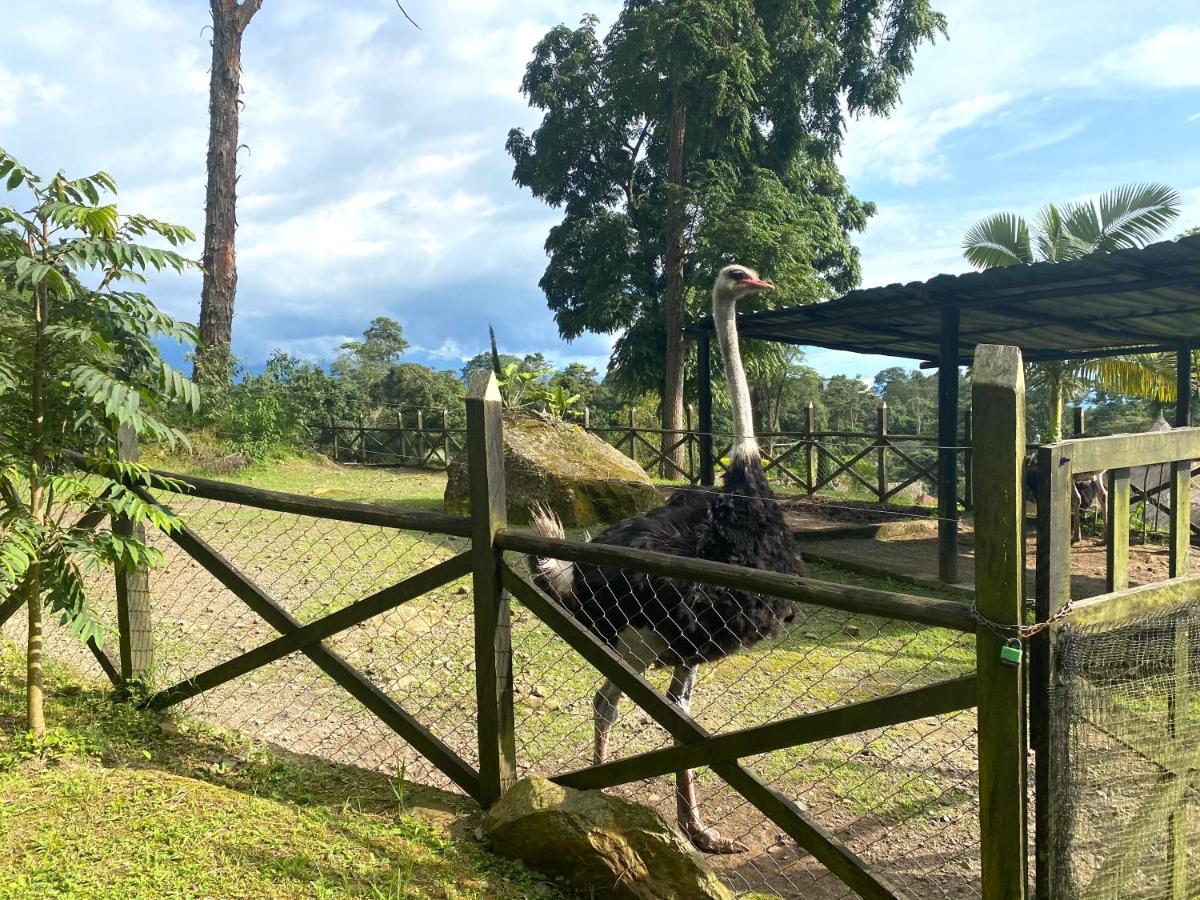 Rancho Ecoturistico El Faro Otel La Mesa  Dış mekan fotoğraf