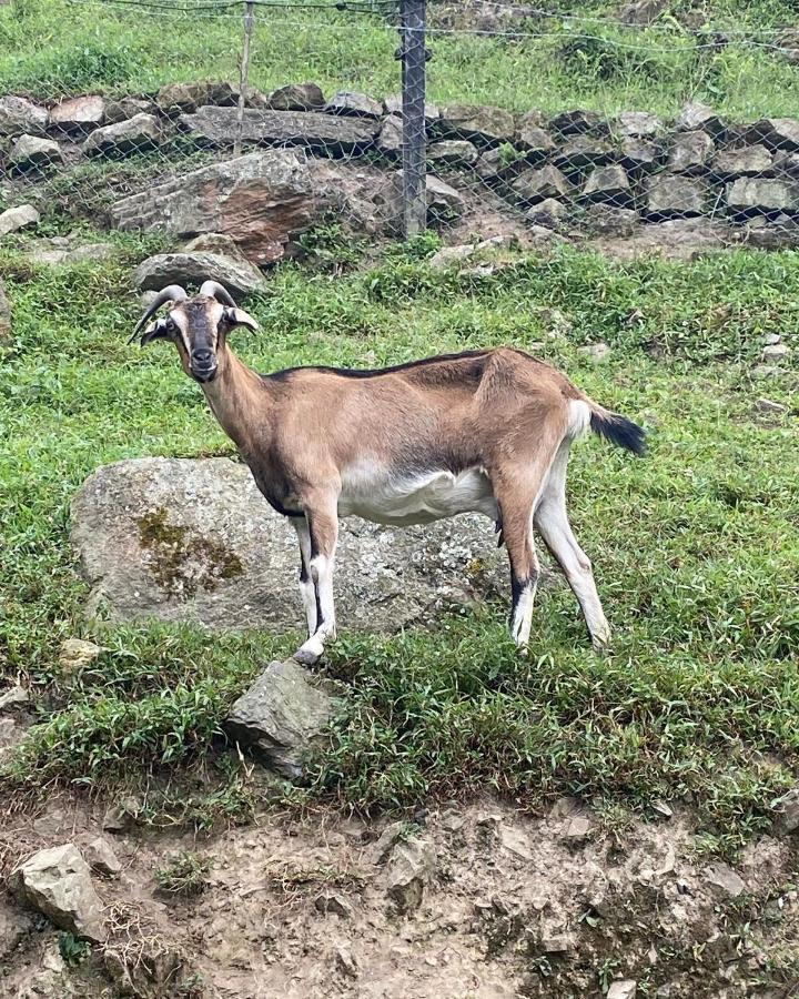 Rancho Ecoturistico El Faro Otel La Mesa  Dış mekan fotoğraf