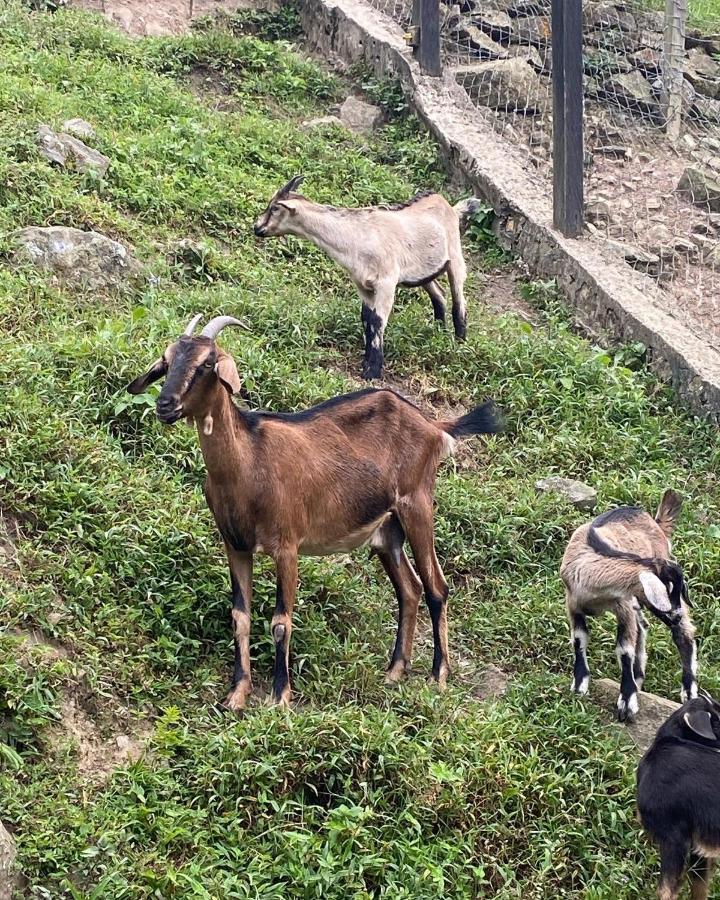 Rancho Ecoturistico El Faro Otel La Mesa  Dış mekan fotoğraf